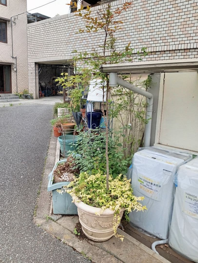 【店頭引取限定】テラコッタ風 鉢
