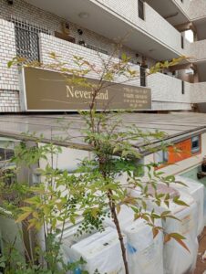 【店頭引取限定】テラコッタ風 鉢