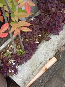 植木鉢 ホワイト ヨーロピアン 長方形