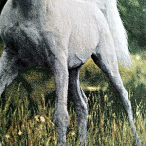 ペルシャ絨毯 額装 白馬 イラン タブリーズ