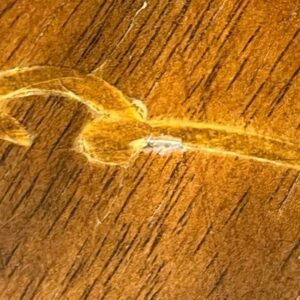 【美品】サイドテーブル 木製 アンティーク イタリア