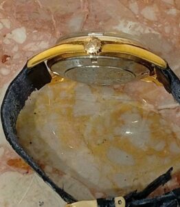 腕時計 Golden Horse 11674